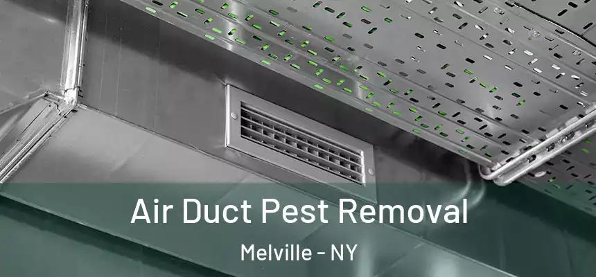  Air Duct Pest Removal Melville - NY
