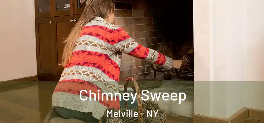  Chimney Sweep Melville - NY