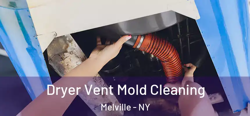  Dryer Vent Mold Cleaning Melville - NY