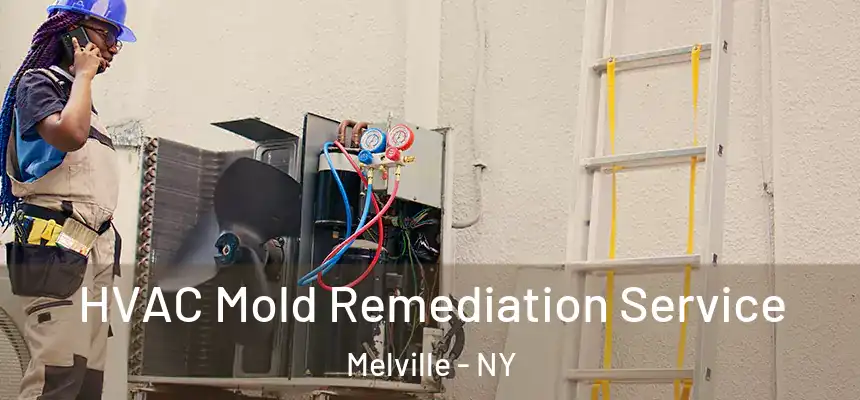  HVAC Mold Remediation Service Melville - NY