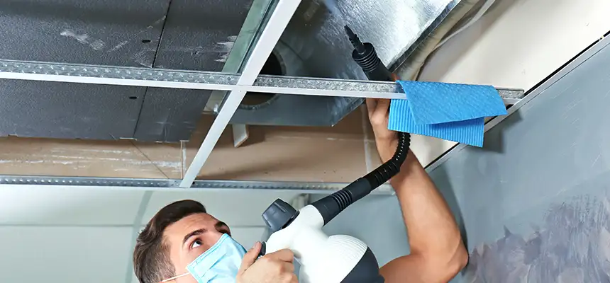 Our Air Duct Rodent Removal Services in Melville, NY