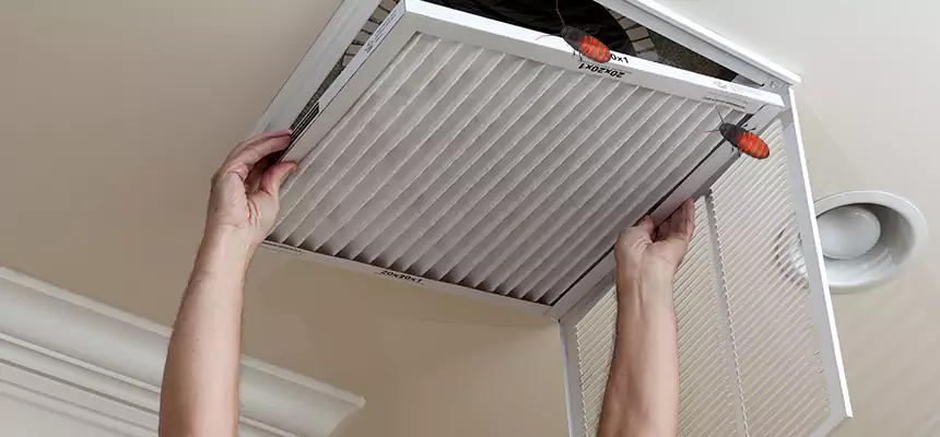 Our Insect Removal from Air Ducts Services in Melville, NY