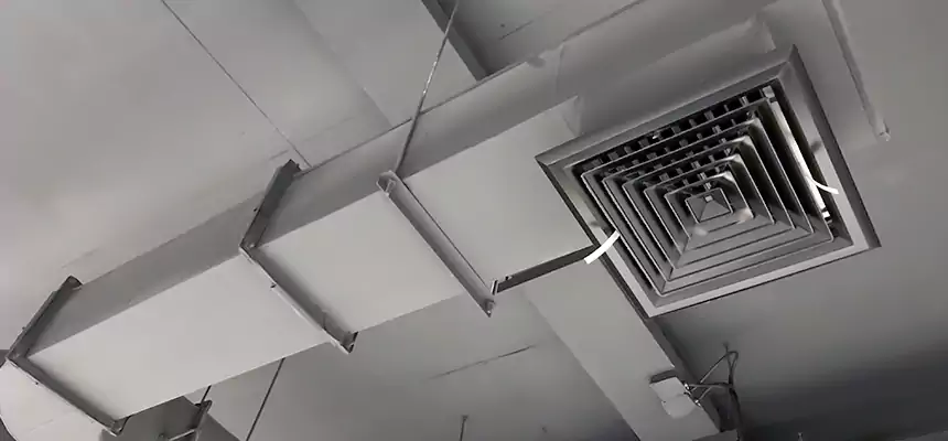 Our Pest Removal From Ducts Services in Melville, NY