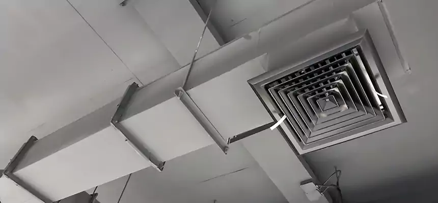 Our Rodent Droppings In Vents Services in Melville, NY