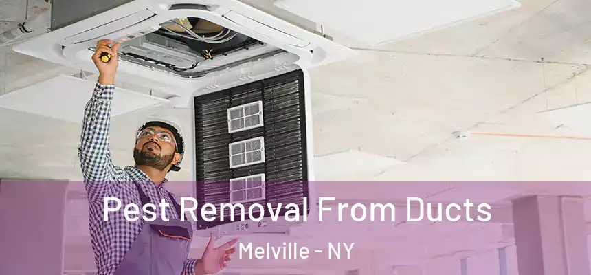  Pest Removal From Ducts Melville - NY