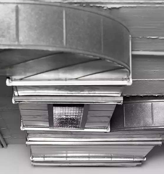 Professional Air Duct Pest Removal in Melville, NY