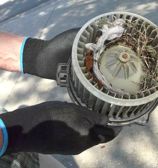 About Air Duct Rat Removal in Melville, NY