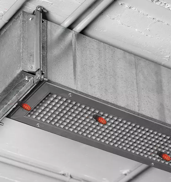 Affordable Insect Removal from Air Ducts in Melville, NY