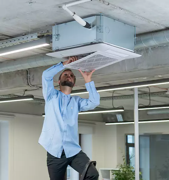 Advanced Rodent Droppings In Vents in Melville, NY
