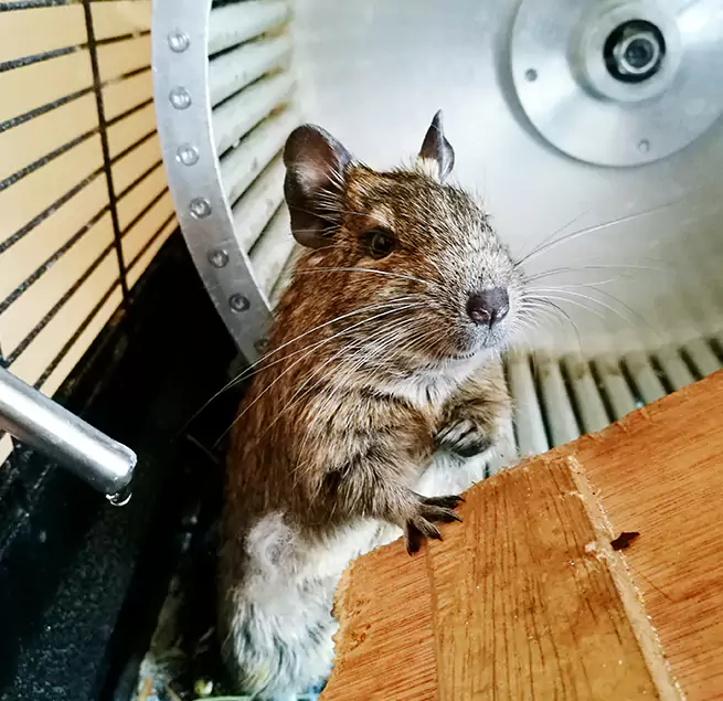 Why Homeowners & Businesses Trust Us Melville, NY